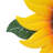 Ambarvale Plants & Flowers Wall Decor