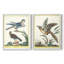 Pastel Birds III - reproduction encadrée de qualité supérieure - prête à être accrochée - aucun clou requis - aucun clou requis-686838264-686838244
