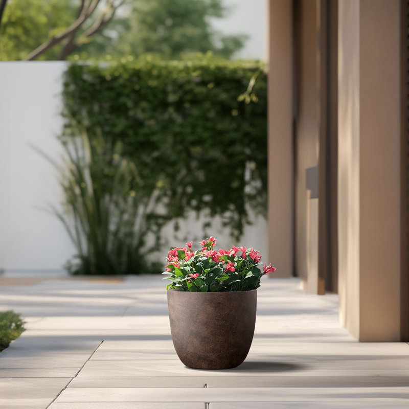 Larney Handmade Pot Planter, 11.81" H x 13.78" W x 13.78" D, Earthy Brown