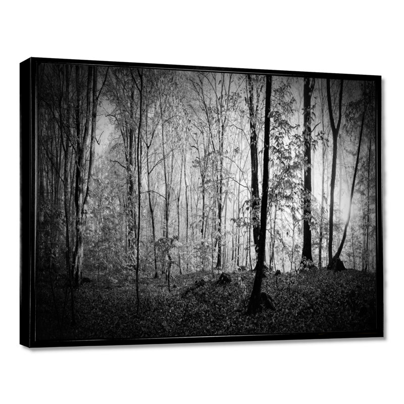 «Beautiful Forest Morning Panorama», reproduction, Cadre flottant noir, H 24 po x l 32 po