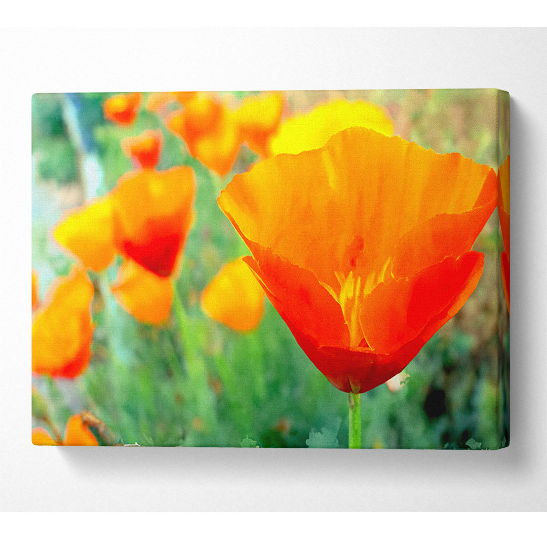 California Poppies Orange - Kunstdrucke auf Leinwand