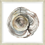 Tree Rings 2 Print