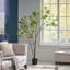 ARBRE À PIERIS 210CMTIFTIFS-727059638