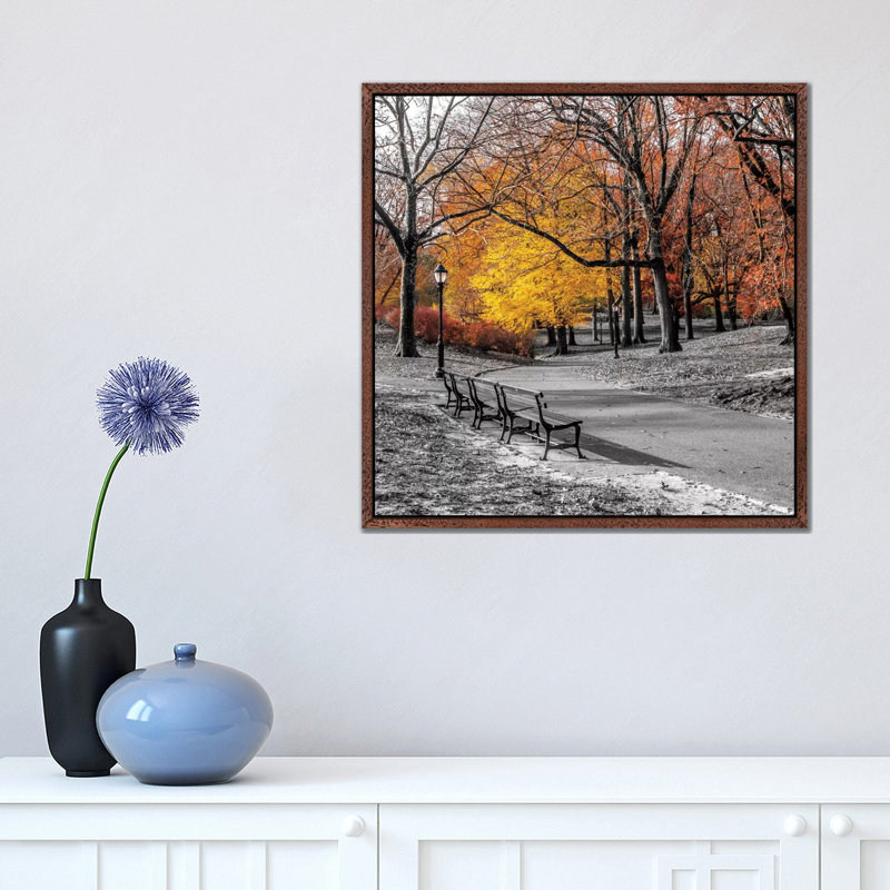 Park Pretty I by Assaf Frank - Print on Canvas, Classic Brown Wood Framed Canvas, 45.72 cm H x 45.72 cm W