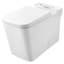 Eurocube® Right Height Elongated Toilet Bowl With Seat