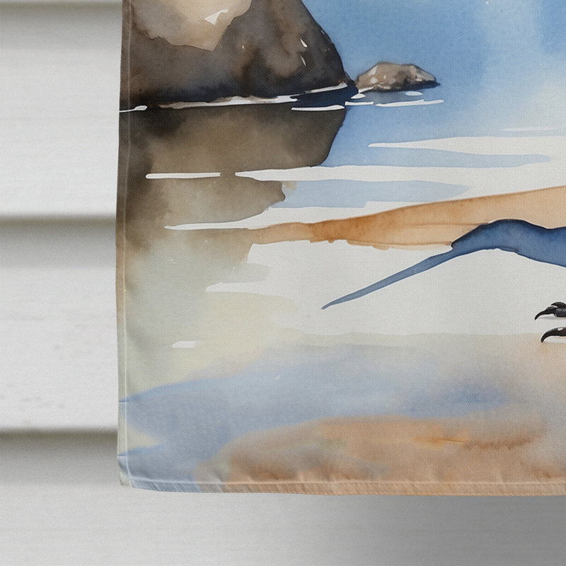  Drapeau de la maison d'oiseaux, Willet