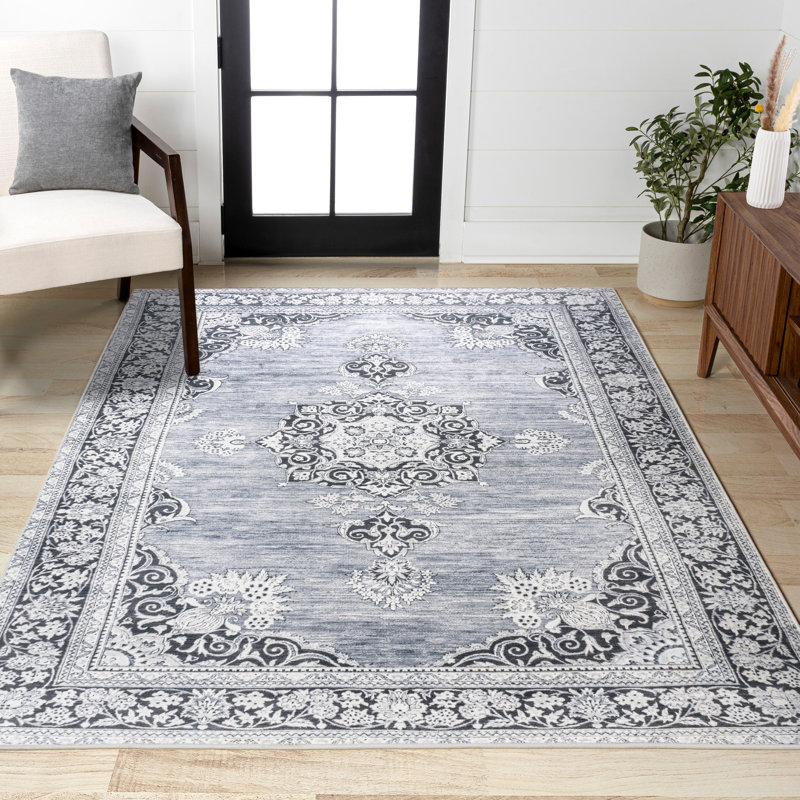 Frutuosa Bohemian Distressed Chenille Machine-Washable Grey/White Rug, Rectangle 3'11" x 6'
