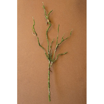 29" Faux Botanical Branch Stem, Artificial Twisting Greenery Decorative Spray