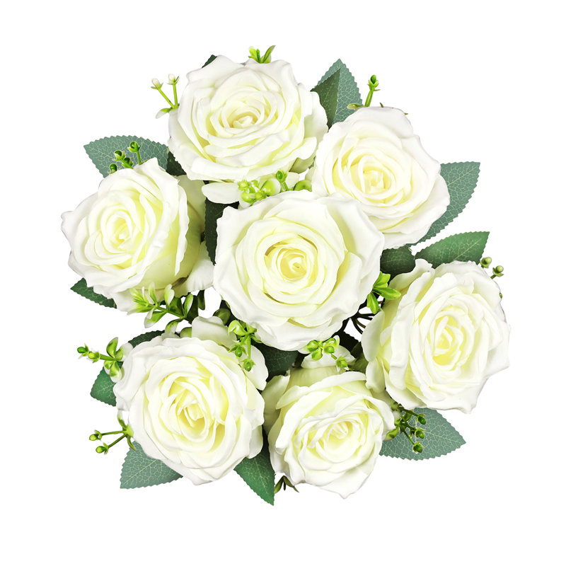 Roses, buissons, Blanc crème