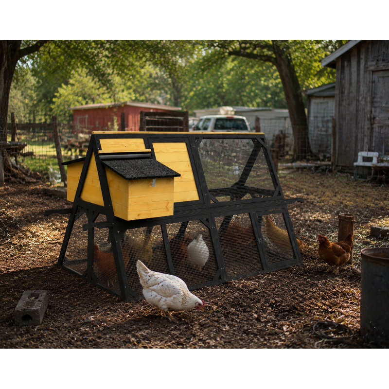 Poulailler en bois pour 4 à 6 poules, poulailler rustique en A avec 2 boîtes de nidification, toit en asphalte imperméable, abri de volaille portatif avec poignées