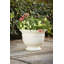Jardinière 19 "Jean Pierre, Brownstone-1281982482-1281982480