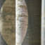 Moon Silk Fabric-65397777