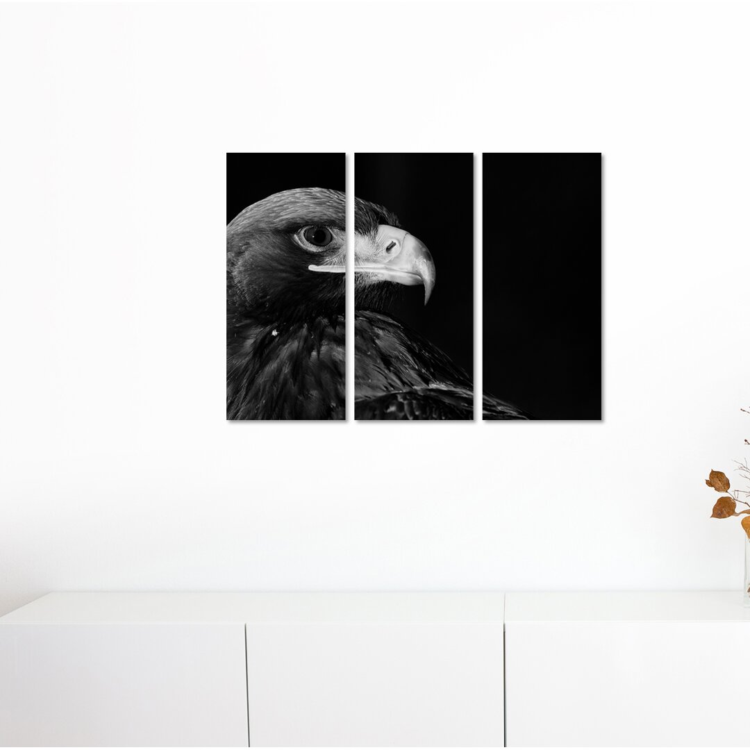 3-tlg. Leinwandbilder-Set Seeadler im Profil