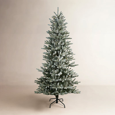 Lighted Spruce Christmas Tree