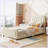 Modern Upholstered Daybed with Classic Stripe Shaped Headboard-1476237357