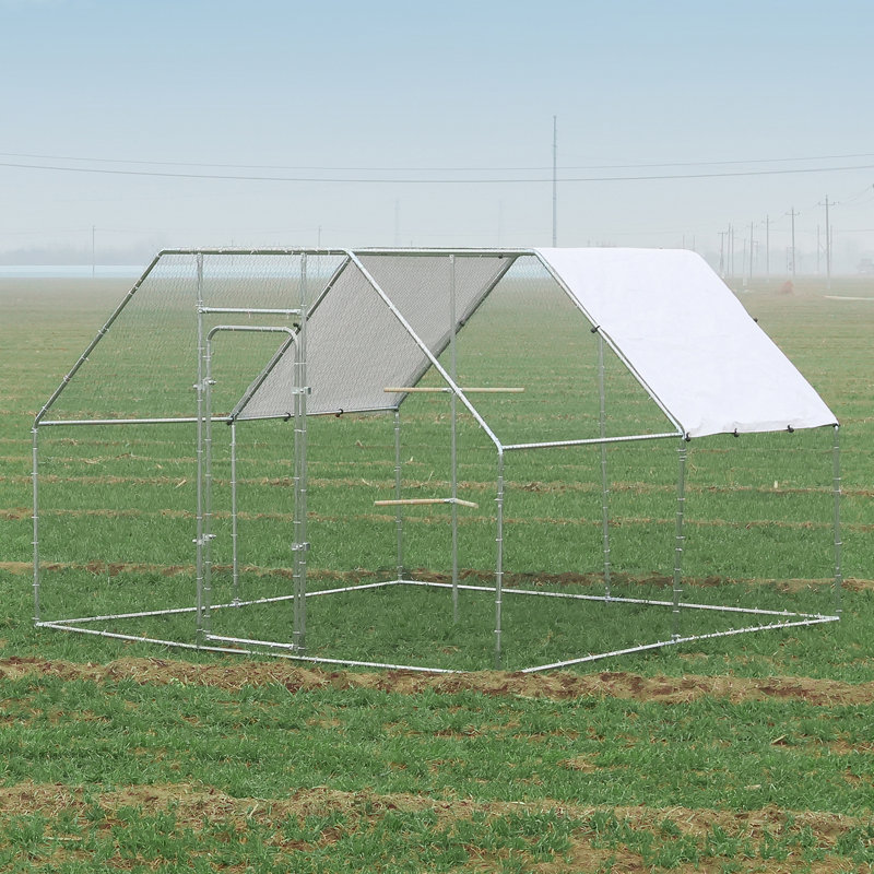 Poulailler avec couvercle imperméable pour 15 à 20 poules, H 78,74 po x l 118,11 po x P 118,11 po
