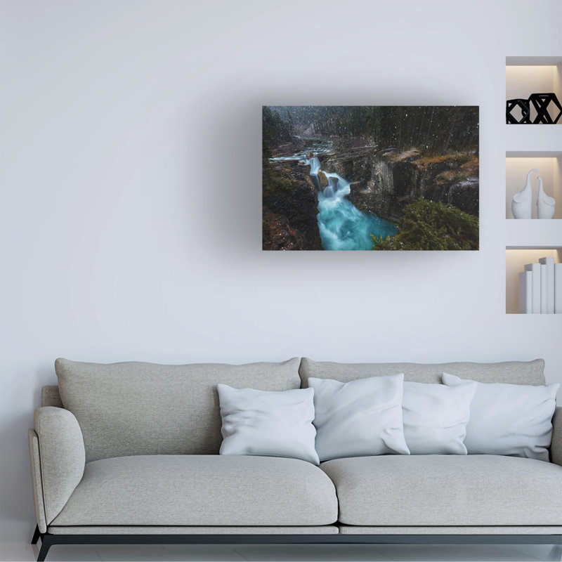 Art sur toile Jerrywangqian Surprise, H 12 po x l 19 po