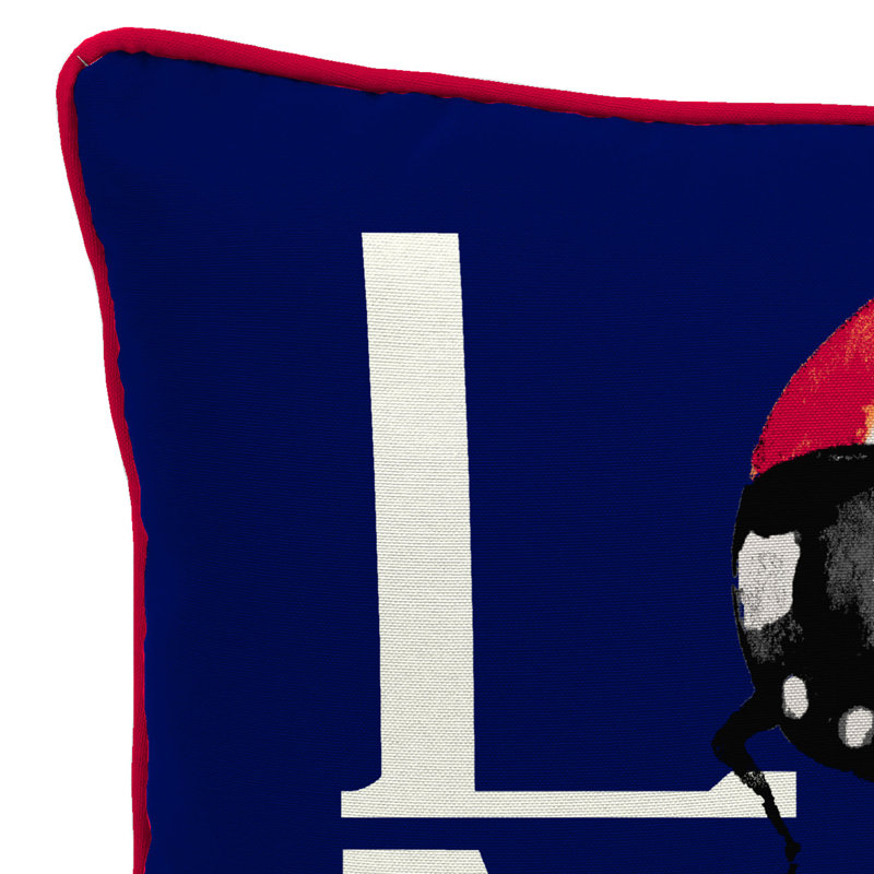 16" x 16" Outdoor Throw Pillow with Welt, Love Ladybug
