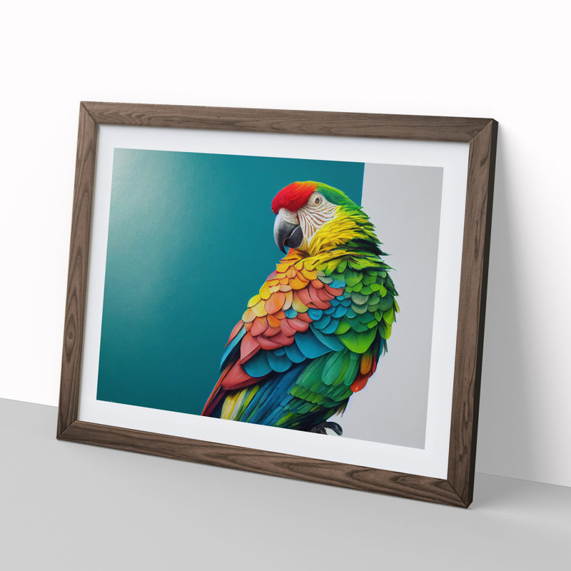 Captivating Parrot - Single Picture Frame Print, Walnut, 34cm H x 46cm W x 2cm D