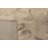 Trombley Floral Indoor Rug-358413994