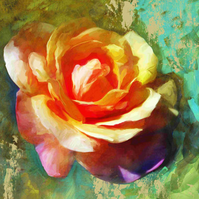 " Orange Rose "