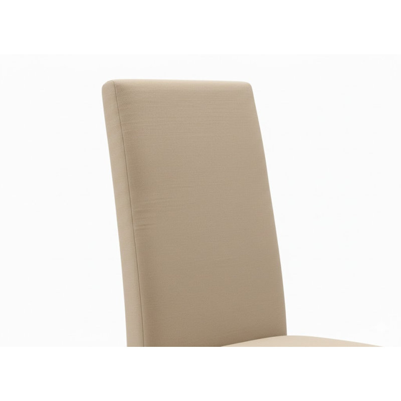 Ensemble de 2 chaises d'appoint rembourrées Rio