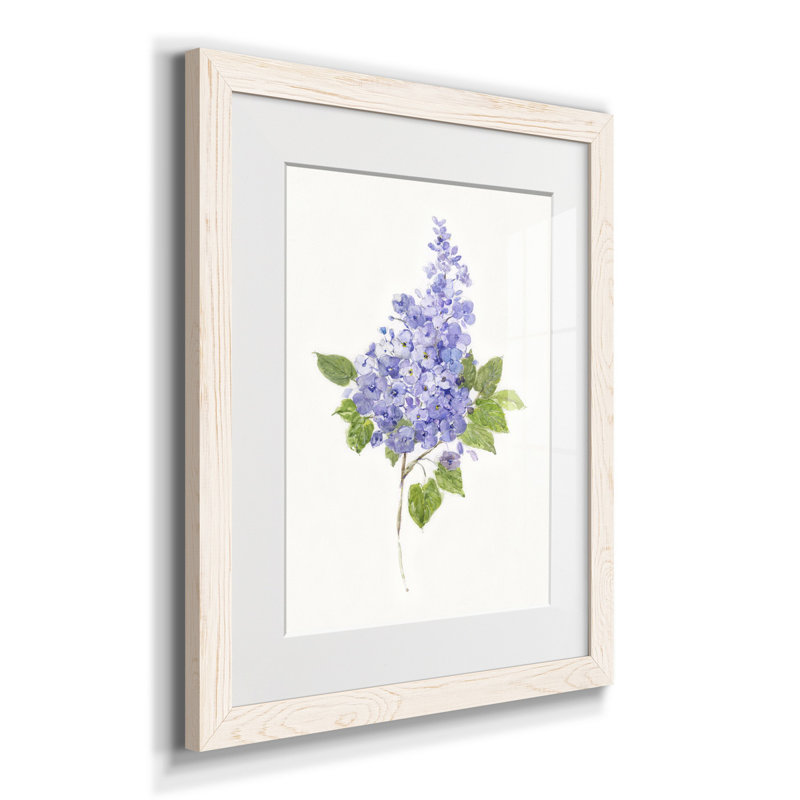 Lilas botanique délicat - impression, H 24 po x l 18 po x P 1,5 po, Blanc