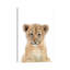 Bébé lionceau - reproduction d'art-53045713-53045714-53045717
