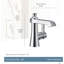 Flara Single Hole Bathroom Faucet with Drain Assembly-1387423064