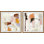 " Crazy Abstract " 2 Piece Art Acrylic Set