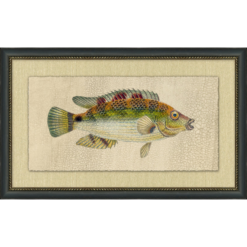 Fish Study 3 Painting