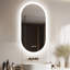 Oval LED Wall Mirror-957629121