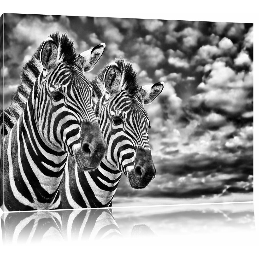 Leinwandbild Zebra Pärchen in Monochrom