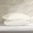 100% Egyptian Cotton Off-White Sateen 4-Piece King Sheet Set-114642904-114642901