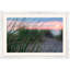 Dune Grass with Dew Framed Photographic Print by Ted Glasoe