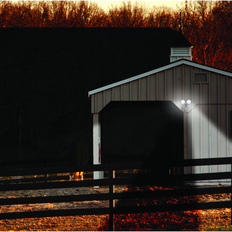 LED Wall Light