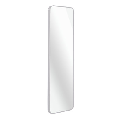 Silver 47 X 14IN Door Mirror.(W2203P182160)