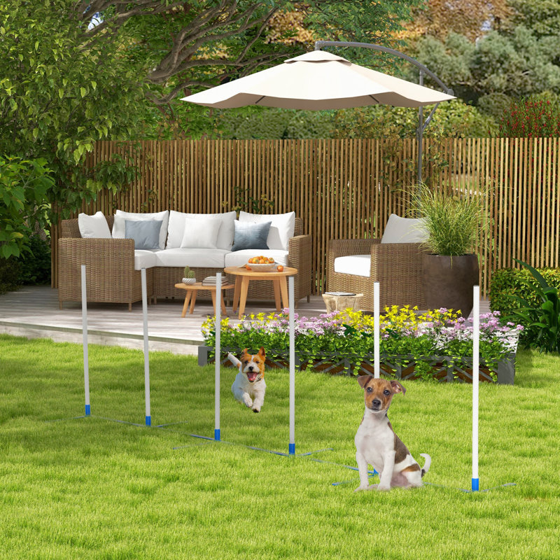 Cannes portatives portables pour chien - Agilité pour augmenter la capacité d'exercice du chiot, plastique blanc, avec sac de rangement, l 120 po x P 23,5 po x H 37 po, réglable Augmenter le niveau d'activité physique, sac
