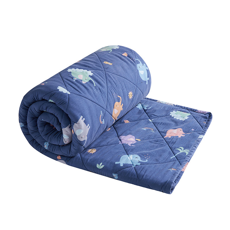 Blue Twin Kids Weighted Blanket with Animal Patterns
