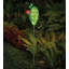 Piquet solaire Eastern Prickly Pear