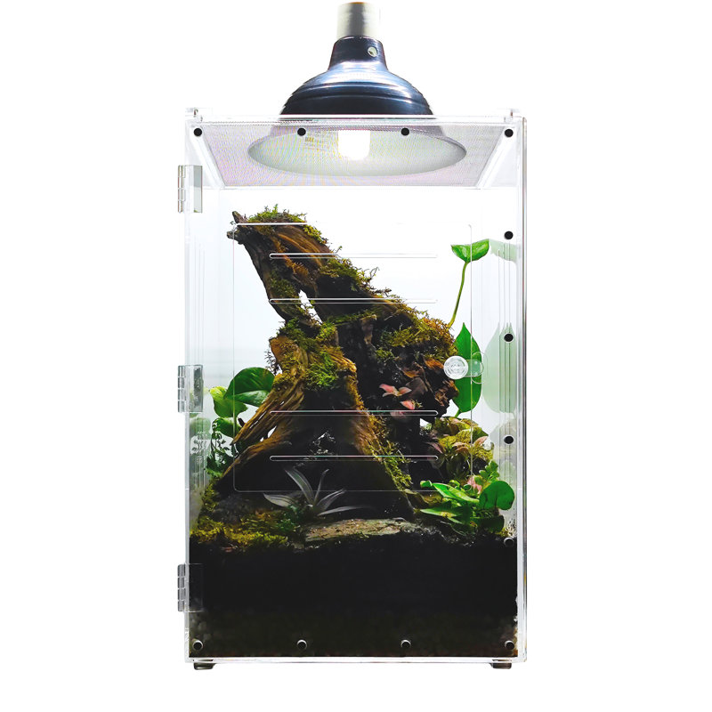 Acrylic Reptile Terrarium, 12 Gallon - 20"H x 12"W x 12"D