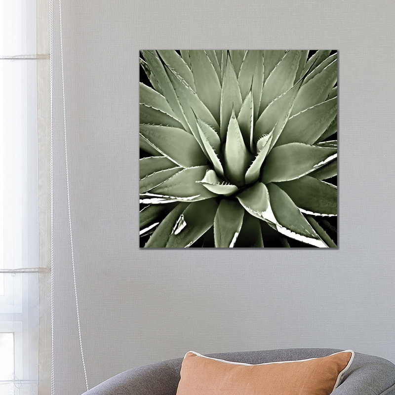 Wrapped Canvas Print, 66.04 cm H x 66.04 cm W x 1.91 cm D