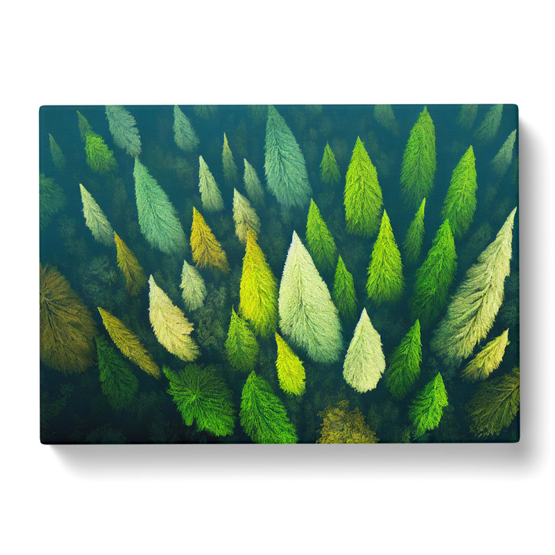 Pine Forest Tree Tops - Wrapped Canvas Print, 50cm H x 76cm W x 3cm D
