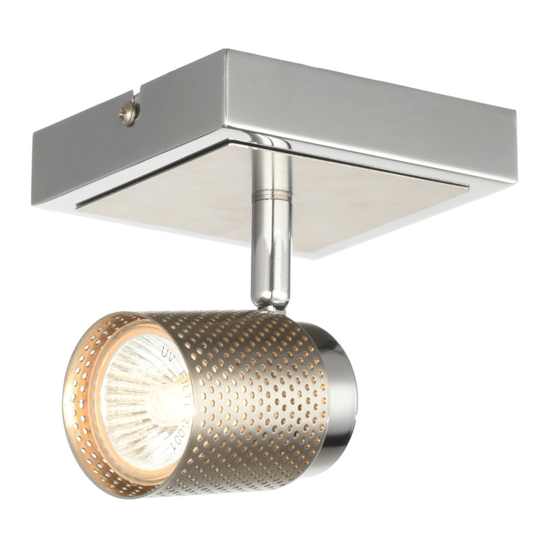 Nickel brossé à intensité réglable 1 lumière/projecteur en chrome poli Raimer