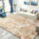 Ultra Soft Plush Carpet with Non-Slip Backing for Living Room, Bedroom
