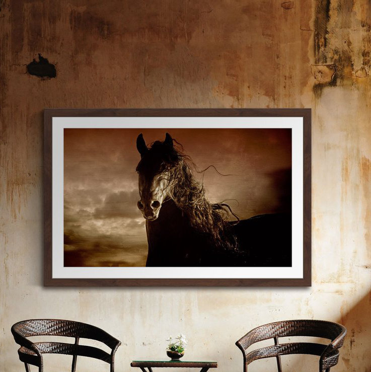 Melanie Snowhite - Single Picture Frame Print, 41cm H x 61cm W x 3.81cm D