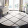 Darrold Shag Performance Geometric Rug