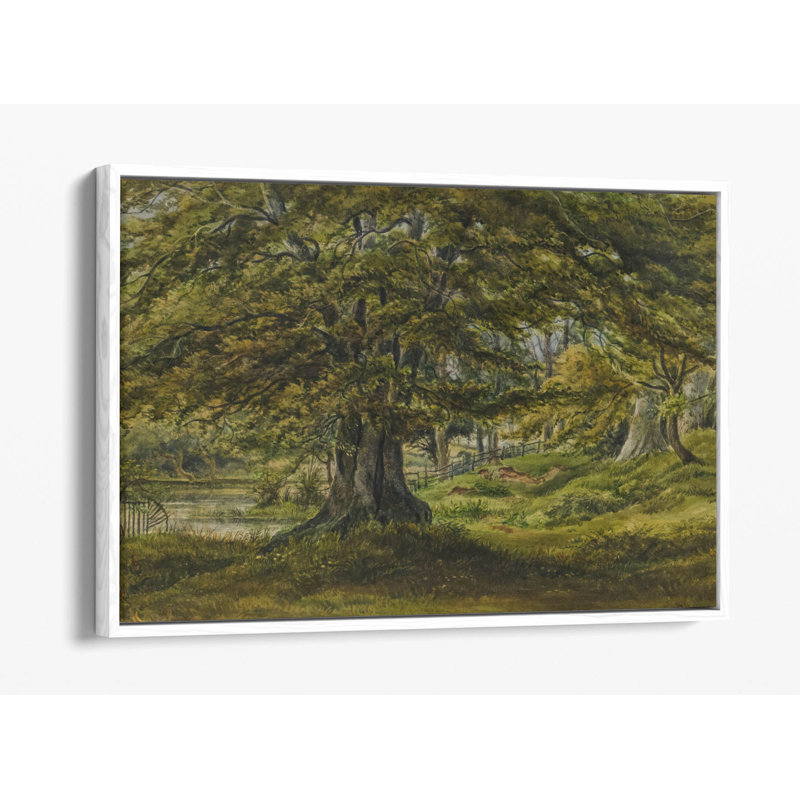 Coldbath, Moseley by W. Nicholls Canvas Floater Framed Wall Art | Historic English Landscape Canvas Print – Walnut Frame