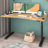 Darena Dual Motors 3-Stage Oval Legs Height Adjustable Standing Desk with USB Ports, 100% Bamboo Curved Desktop