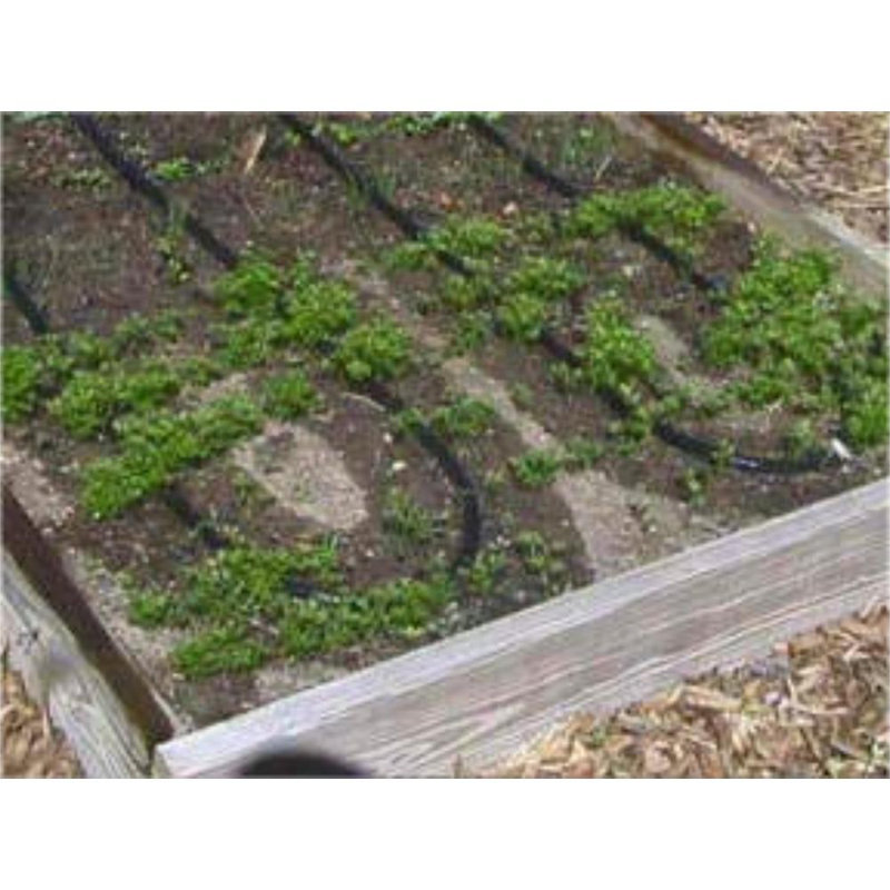 Tuyau de trempage plat 75 pieds Goods - Arrosage goutte à goutte - Conception à double couche - Économise 70% d'eau - Goutte à goutte constante sur toute la longueur du tuyau - Comprend 3 disques de réduction de pression (2)